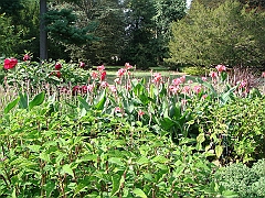 168 Longwood Gardens [2008 August 23]
